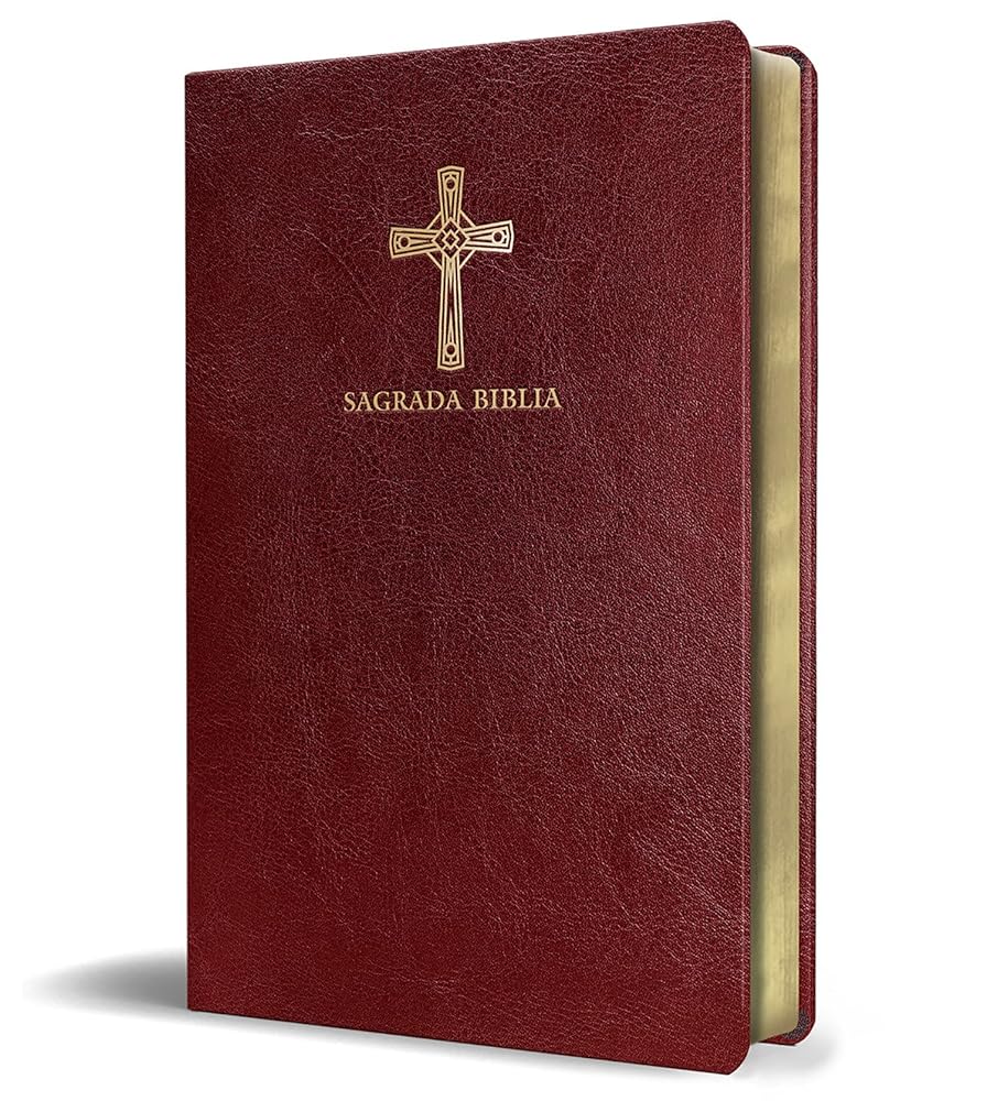 Biblia Católica en español. Símil piel vinotinto, tamaño compacto / Catholic Bible. Spanish-Language, Leathersoft, Wine, Compact